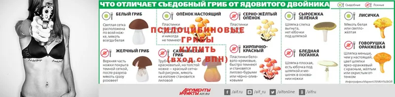 Галлюциногенные грибы Magic Shrooms  цены наркотик  Жирновск 